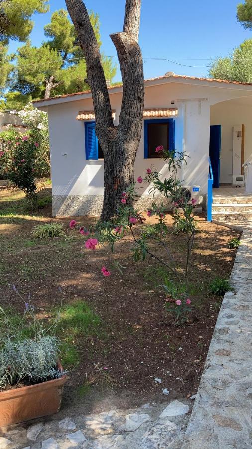 Appartamenti La Villa 佩斯基奇 外观 照片