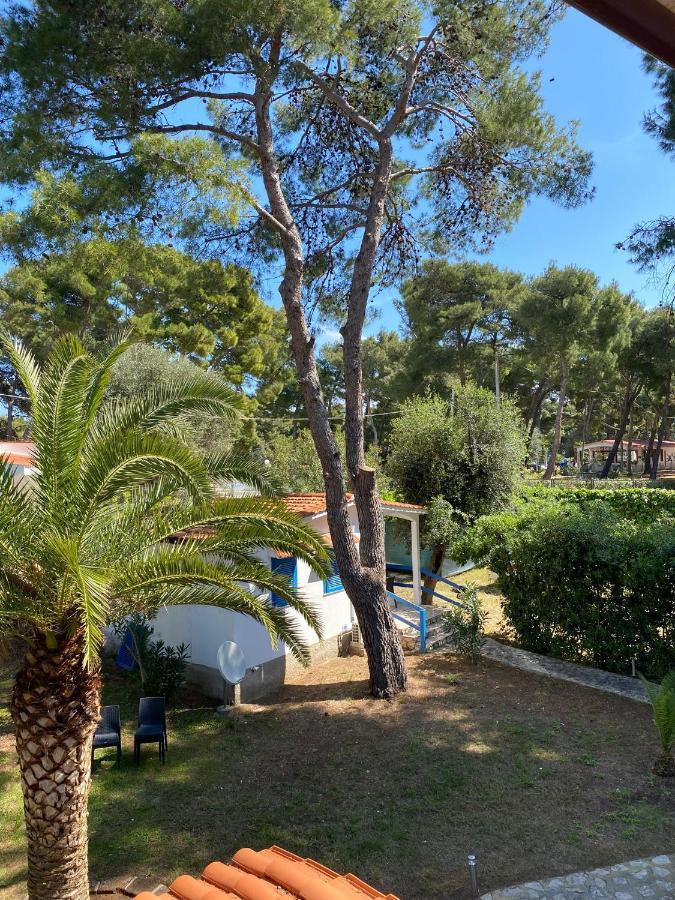 Appartamenti La Villa 佩斯基奇 外观 照片